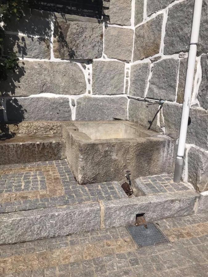 Carvalhosa Casa Do Abeto 빌라 외부 사진