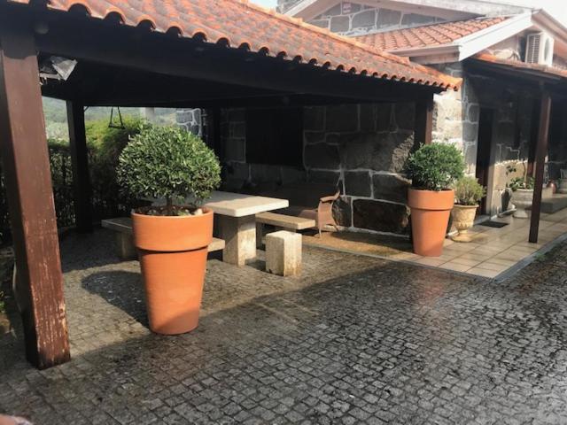 Carvalhosa Casa Do Abeto 빌라 외부 사진